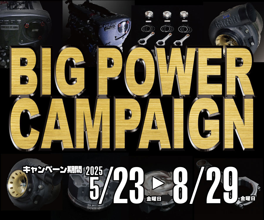 BIG POWER CAMPAIGN